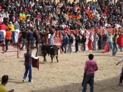 hotel-la-bodega-ciudad-rodrigo-carnaval-del-toro-blog-previa